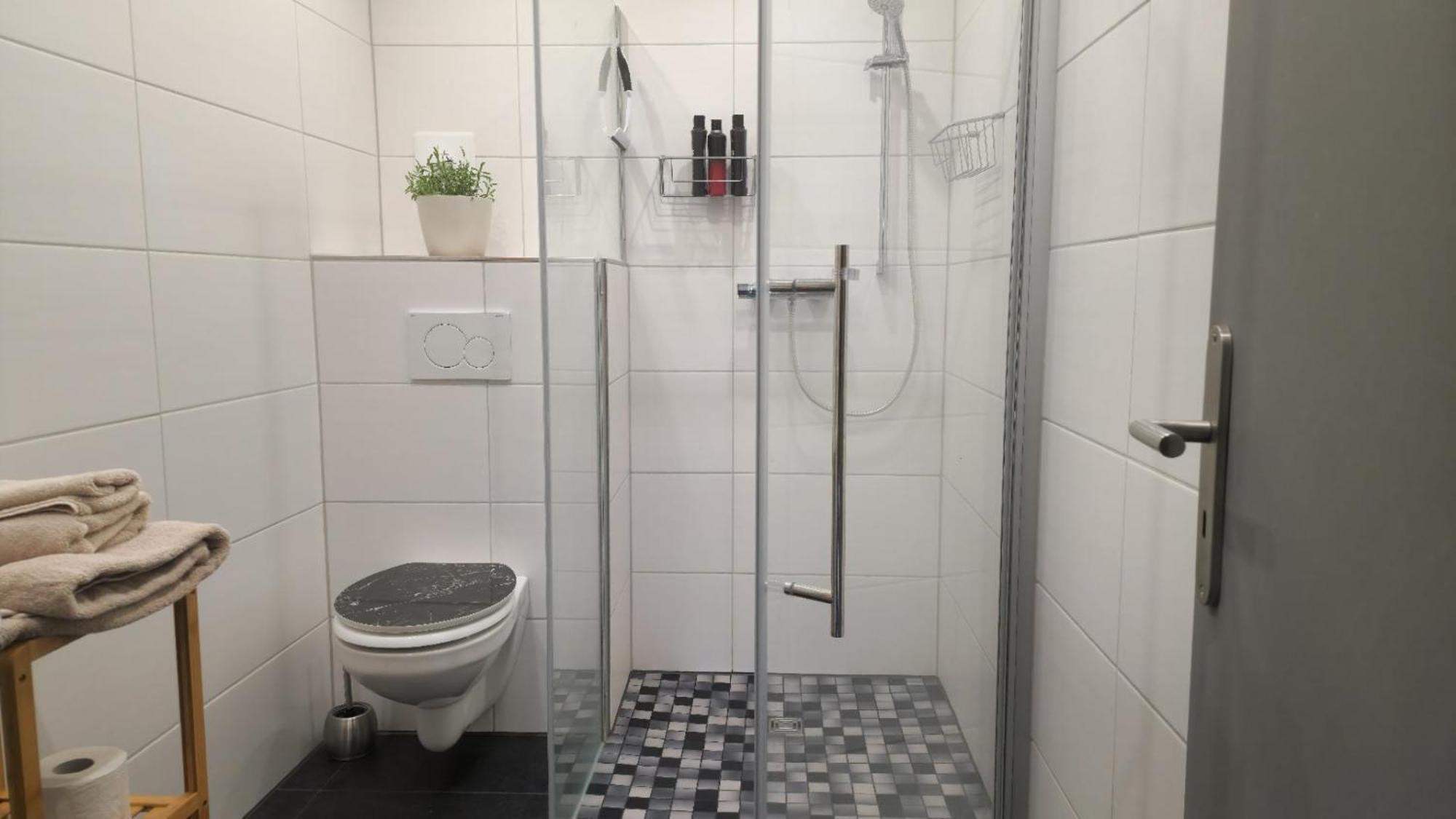 Apartment Bachoase